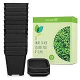 Green Thumbz Macetas cuadradas pequeñas, macetas de plástico Negro para Flores Decorativas de Interior y Exterior y Plantas con bandejas - Paquete de 15