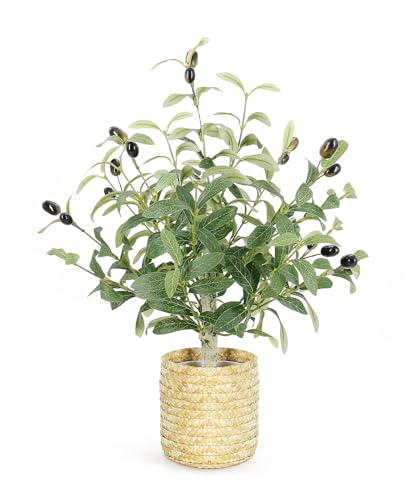AceList 19-Inch Artificial Olive Tree with Hand-Woven Basket, Small Faux Potted Plant with 18 Lifelike Fruits & 226 Leaves, Boho Farmhouse Decor for Tabletop Home Office Desk Kitchen