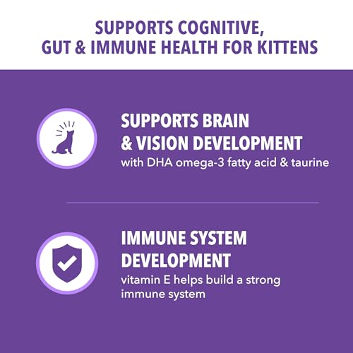 Image of IAMS Proactive Health Kitten Dry Cat Food, Healthy Kitten Food Dry Recipe with Real Chicken in Every Bite, 3.5 Lb. Bag