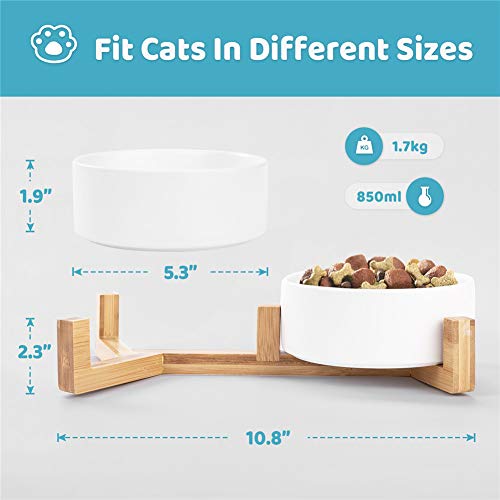 Dog Bowl | Food Water Dish for Dogs and Cats, Ceramic Pet Bowl for Food & Water (White-White),Medium - Image 2
