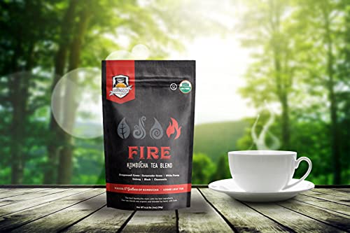 Fermentaholics - Element Kombucha Tea Blends | Usda Certified Organic Kombucha Tea Blend | Kosher Certified (Fire Blend) #TOP5