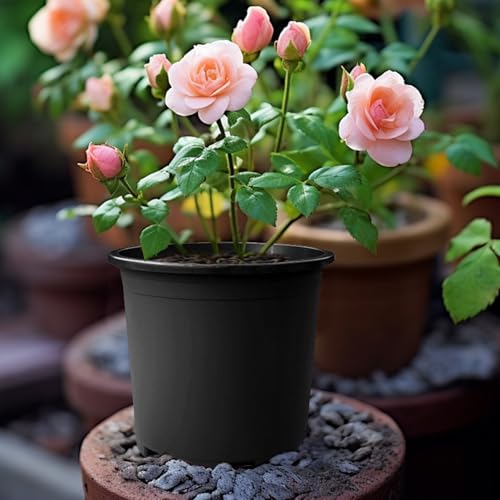 Pots de pépinière réutilisables en plastique rigide longue durée - 7