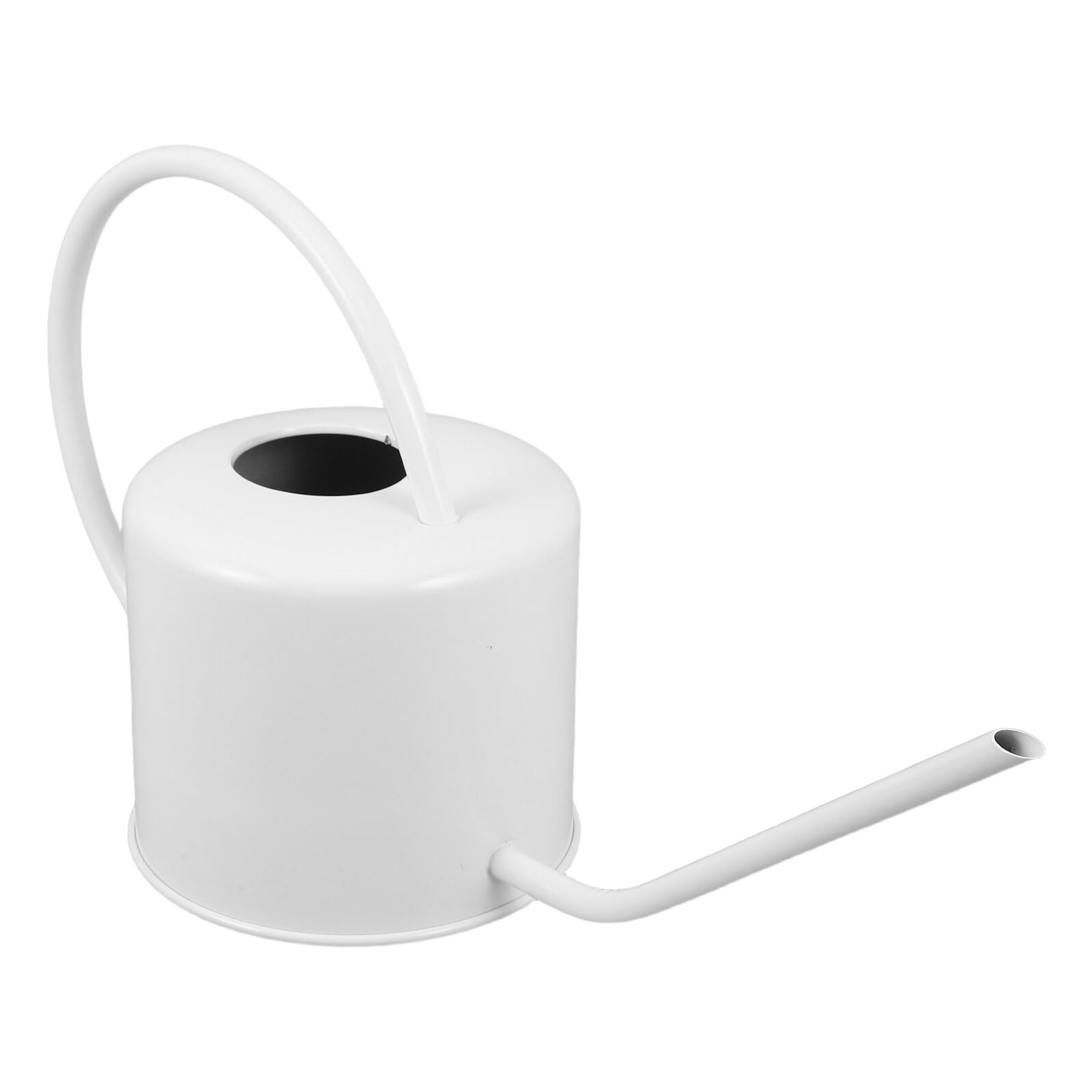 Acier Inoxydable Arrosoir 1, 3 L à Long Bec pour Plantes