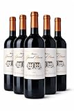 Château Grand Nauve Saint Emilion Grand Cru 2021   Pack de 6 bouteilles