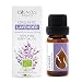 Produktbild Essences Bulgaria BIO Ätherisches Lavendel Öl 10ml | Lavandula angustifolia | 100% Naturrein | Unverdünnt | BIO-zertifiziert | Spitzenqualität aus Familienbetrieb | Ohne Gentechnik | Vegan