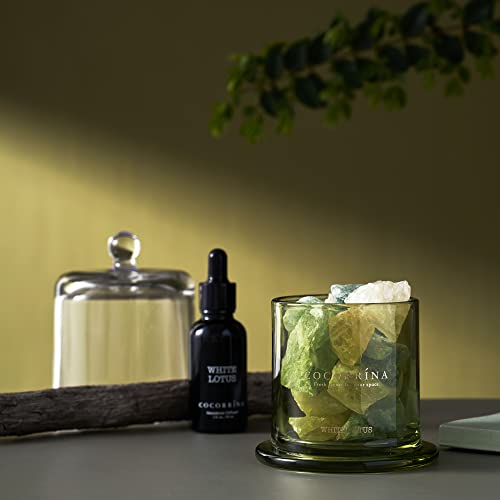 Cocorrína Gemstone Diffuser Gifts For Women - 1 Oz White Lotus Essential Oil Refill With Gemstone For Stress Relief & Relaxation - Bathroom Shelf Decor Bedroom Home Decor #TOP1