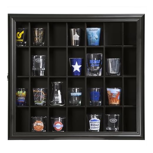 Gallery Solutions 18x16 Shot Glass Hinged Front Display Case, 18" x 16", Black