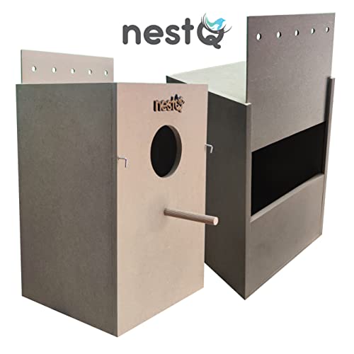 NestQ Nido per Ninfe XL 35 cm x 21,5 cm x 20,5 cm