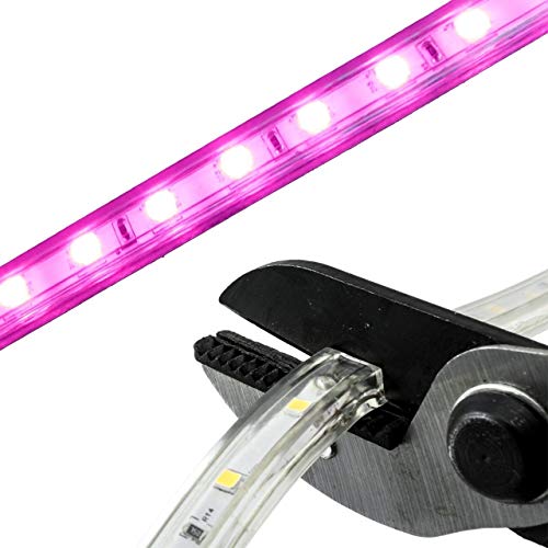 Tira de LED rosa 13.12 pies 120V SMD 3528 miniatura 2