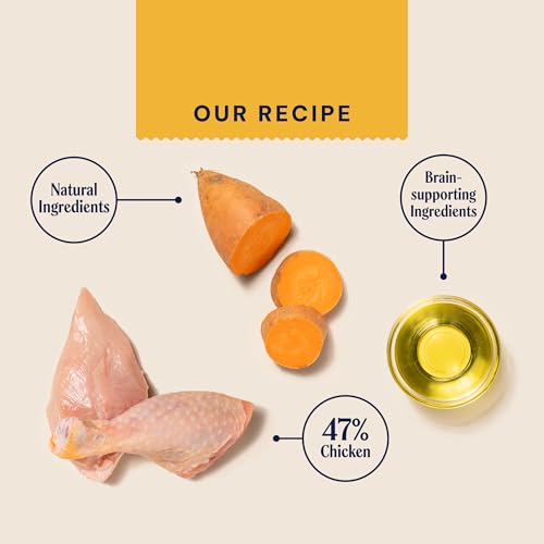 Pooch & Mutt - Welpen, Getreidefreies Hundetrockenfutter, Huhn & Superfood-Mischung, 1,5 kg