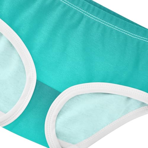 Joisal Cotton Girls Underwear Toddlers Teal Blue Turquoise Gradient Panties for Girl Fancy Undies Kids Briefs 2t4