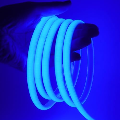 HEGEHE COB LED Streifen, 220V Neon LED Strip Hohe Dichte 288 LEDs/m, IP65 Wasserdicht Diffusion Flex LED Schlauch Lichtleisten, Alle 50cm Schneidbar, Direktanschluss (Blau, 0.5M)
