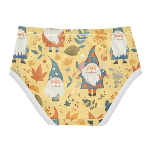 Wusikd Autumn Gnomes Girls' Underwear Cotton Stars Leaves Girls Briefs Soft Toddler Underwear 2T2