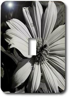 3dRose LLC lsp_14474_1 Bee Black N White Flower - Single Toggle Switch image 3