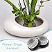 Folmywy Japanese Ikebana Flower Frog Vase Kit Flower Arrangement with 1.57 Inch Kenzan Ceramic White Pebble Shaped Bowl for Ikebana Teaching Aids Art Supplies Home Decor (5.51x4.13in)