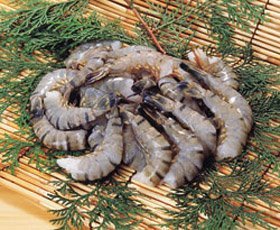 �u���b�N�^�C�K�[ ���� 13�^15 1.8kg 62038