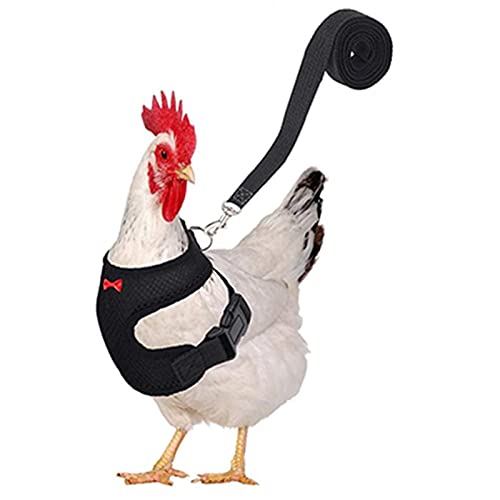 Misis Harnais De Poulet Poule Tablier Poule Protection Poulet Harnais Support Protection Plume pour Poulet Et Canard pour Canard Oie Poule Entraînement Marche Natural