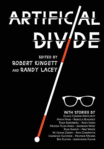 Artificial Divide view 2