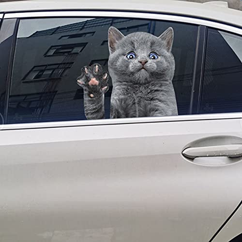 Cat car Window Stickers,Funny car Stickers,car Window Decals,car Stickers,Window and Truck Window Decals,Funny cat car Window Decals,Side Window Stickers,Vinyl Decals,Left and Right Window Stickers