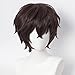 Aicos Anime Cosplay Wig Brown Hair for Men, Brown Layer Wig for Cosplay Show + Wig Cap