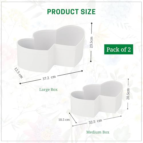 Image of Oasis Pack of 2 Double Heart Shaped Gift & Flower Hamper Boxes With Clear Lid | Classic Bouquet Box for Flower Arrangements & Gift Hampers | Decorative Gift Packaging Box - White Twin Lux Heart