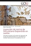  Inyección de resina de Poliuretano Expandido en suelos: Convenio entre la Fundación General de la Universidad Politécnica de Madrid y Uretek Soluciones Innovadoras S.L.U.