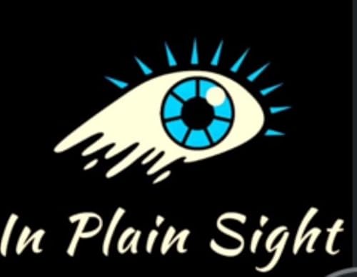 In Plain Sight cover art