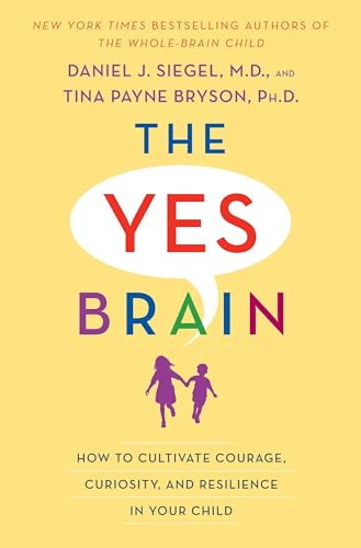 The Yes Brain view 2