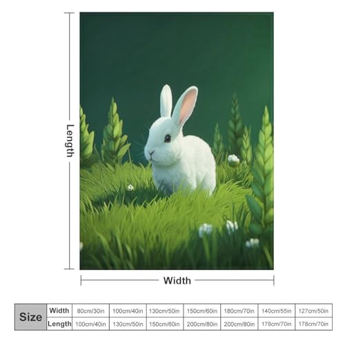 Couverture flannel douce et chaude lapin lavable machine pour lit