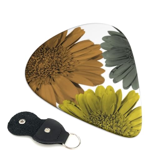 H_FK[xfCW[ԕ GLM^[ x[XpsbN EN M^[ y Aj t@bV yD S gCAO sbN 6Zbg 0.96mm