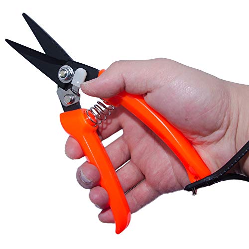 Qualitäts Klauenschere Fuß Rot für Ziege Schafe HUF Trimmer Schaf HUF Trimmen gezahnte Klinge für besseren Schneidegriff 20,3 cm Länge