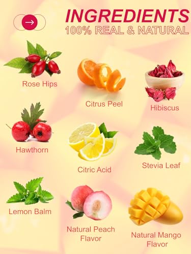 TeeLux Eistee mit Mango und Pfirsich Tee Beutel 100 Count, Vegan, Fruchtgeschmack Cold Brew Tea für heißen Sommer, Mango Pfirsich Hibiskus Hagebutten Weißdorn Zitronenmelisse, süß und erfrischenden