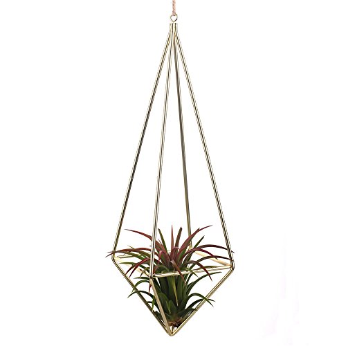 NCYP Tillandsia Air Plants Holder Freestanding Hanging Matte Golden Quadrilateral Pyramid Teardrop Shape Geometric Flowers Rack for Wedding Wall Decor 10 inch (No Plants)