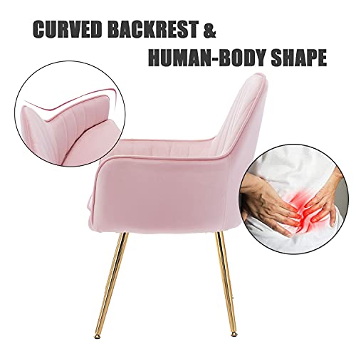 Altrobene Velvet Accent Chair, Home Office Desk Chair No Wheels, Modern Dinging Chair, Living Room Bedroom Arm Chair, Girls Vanity Chair, Golden Finished, Pink #TOP4