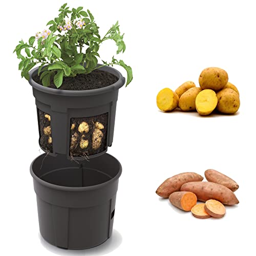 Maceta para patatas y patatas, 12 L, altura 23,6 cm, cesta para patatas