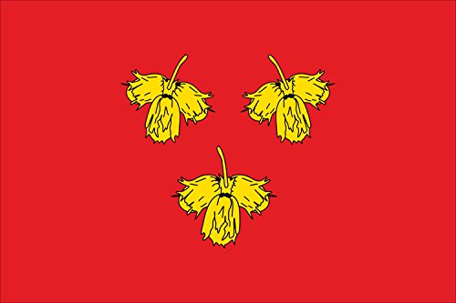 Drapeau Krasnensky rayon pavillon historique grand format