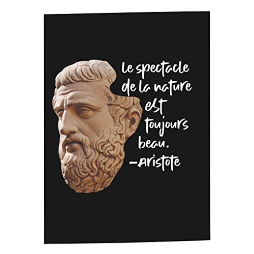 Poster affiche Aristote philosophie nature deco salon zen moderne