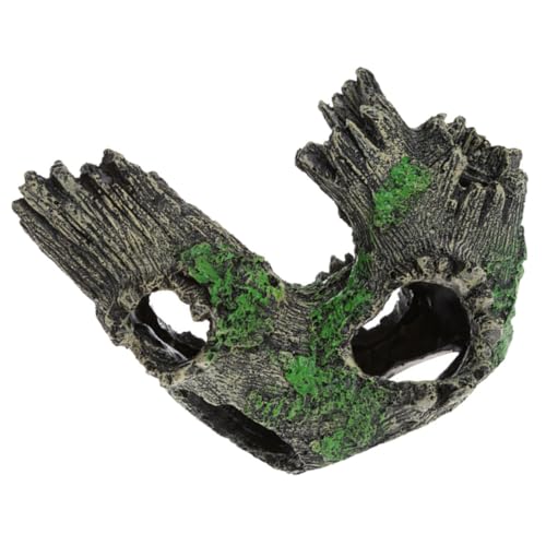 Kisangel plHBƑi ϐ fނ̒󋛓 ^ANAERio