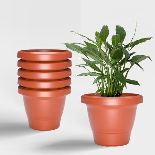 YUCCABE ITALIA SHERA SD 12 INCH Pack of 6 Pcs Plastic Flower Pot ...