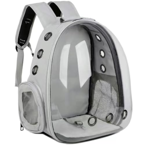 MsiDtsoy ybgL[obO LL[ Lp FDJvZ^ bNTbN sybg  o ʋC e ϋv S ܂肽 (O[)