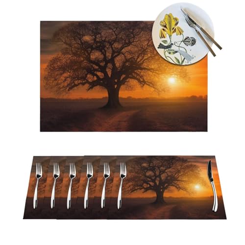 Sets de table résistants à la chaleur et antidérapants en PVC lavable pour cuisine - 2