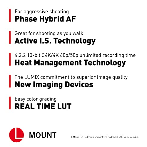 Image of Panasonic LUMIX S5II Mirrorless Camera, 24.2MP Full Frame with Phase Hybrid AF, New Active I.S. Technology, Unlimited 4:2:2 10-bit Recording - DC-S5M2BODY