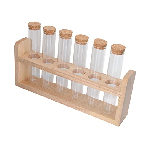 Cabilock 1Set Multi Function Glass Tube Display Rack for Kitchen for Beans Spices and Tea Leaves and Glass Construction Home Accessory for Organizing
