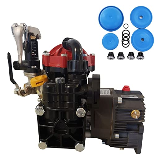 Annovi Reverberi AR30-GR3/4-GCI Diaphragm Pump Gearbox & Regulator w/ D30REPAIRBLUE BlueFlex Diaphragm and Valve Repair Kit (Bundle, 2 Items)