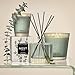NEST New York Reed Diffuser, Wild Mint & Eucalyptus - 5.9 fl oz - Fragrance for Up to 90 Days - Reusable, Refillable Glass Holder - Includes 8 All-Natural Reed Sticks - Flame Free