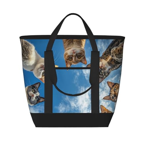 ۗobO ˂   G e 26L ܂肽݉ N[[obO PEVA IbNXtH[h  t@Xi[ |  sNjbN 19cm×34cm×41cm [sAi]