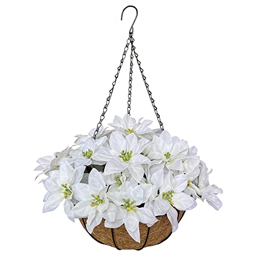 Best White Hanging Flower Baskets