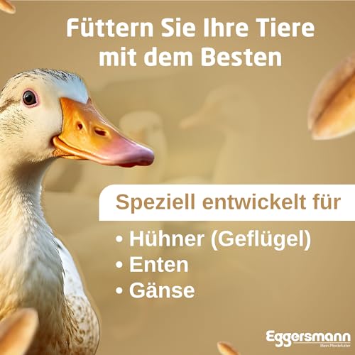 Eggersmann Körnerpick Hühnerfutter 25 kg Körnerfutter Basic - Basic Hühner Körnerfutter Geflügelfutter - Premium Körnermischung für Hühner Gänse und Enten