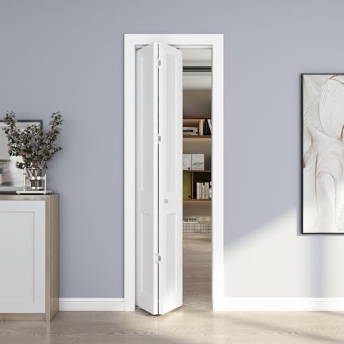 24in x 80in Bifold Interior Door