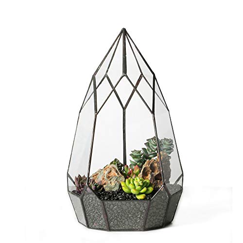 Modern Tabletop Black Glass Geometric Terrarium Container - Balcony Planter DIY Display Flower Pot for Succulent Fern - Miniature Botanical Fairy Garden, Large (No Plants, No Door)